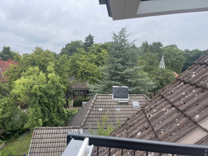 Ausblick Velux Cabrio