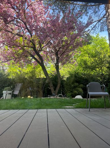 Garten mit Kirschbaum