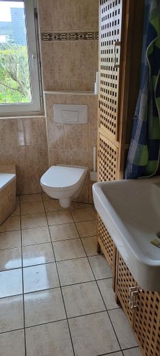 Bad - WC