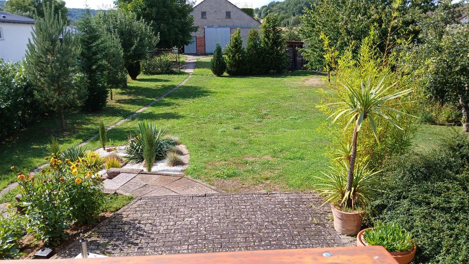 Blick in den Garten