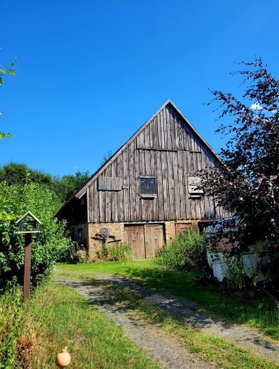 Atelier/Praxis/Gastro/Touristik/Büro/LOFT +++ in GUTSANLAGE (12 Geb. + 6 ha. Gr.) Nähe Müritz! – Scheune in Hofstelle (4.000qm)