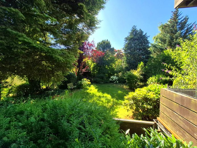 DER BLICK INS GRÜNE