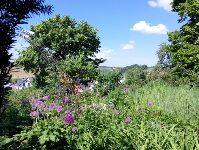 Ausblick aus Pavillon