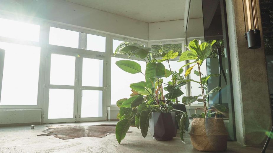 Vielfältige Fläche in Top-Lage von Berlin - Moderne Studio-, Laden-, oder Bürofläche – Eingangsbereich