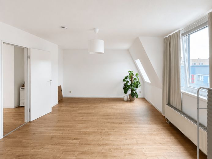 Frisch renovierte Wohnung nahe Goitzsche See: 2 Zimmer, Einbauküche, große helle Räume – Foto 1