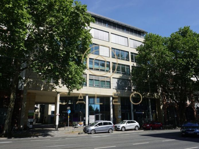 CALEO ¦ Ostend ¦ 365 m² ¦ Preis auf Anfrage ¦ PROVISIONSFREI – Foto 1