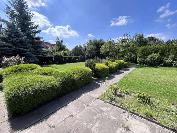 Blick in den Garten
