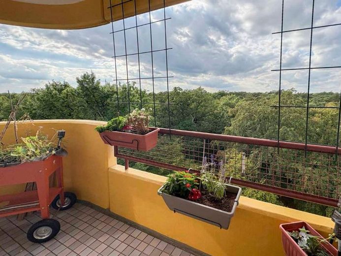 In alto sopra Hakenfelde – curato appartamento con 1 camera e una splendida vista sul bosco – Foto 1