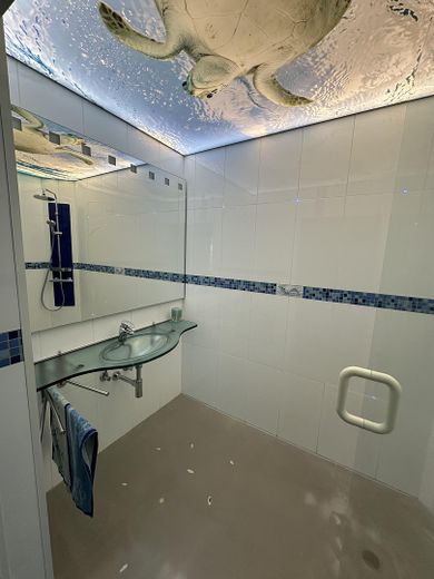 Immobile commerciale 2 capannoni 300 + 450 m² casa unifamiliare 188 m² – Bad 2