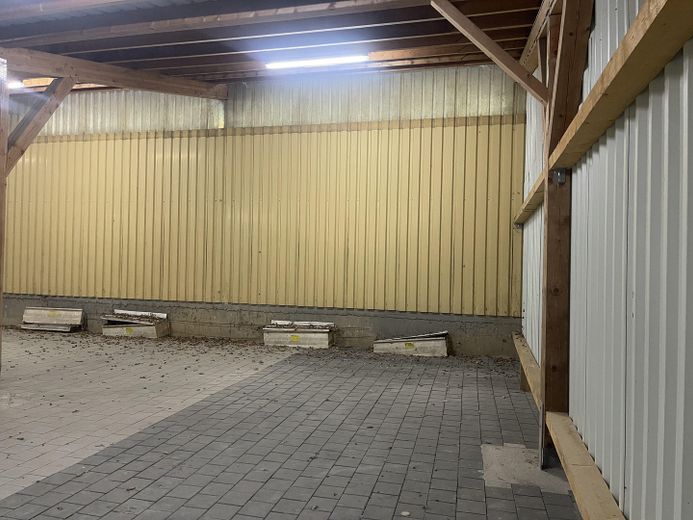 Kalthalle (Neubau) im Gewerbepark Hunderdorf – Flexibel anmietbar - 17F – Foto 3