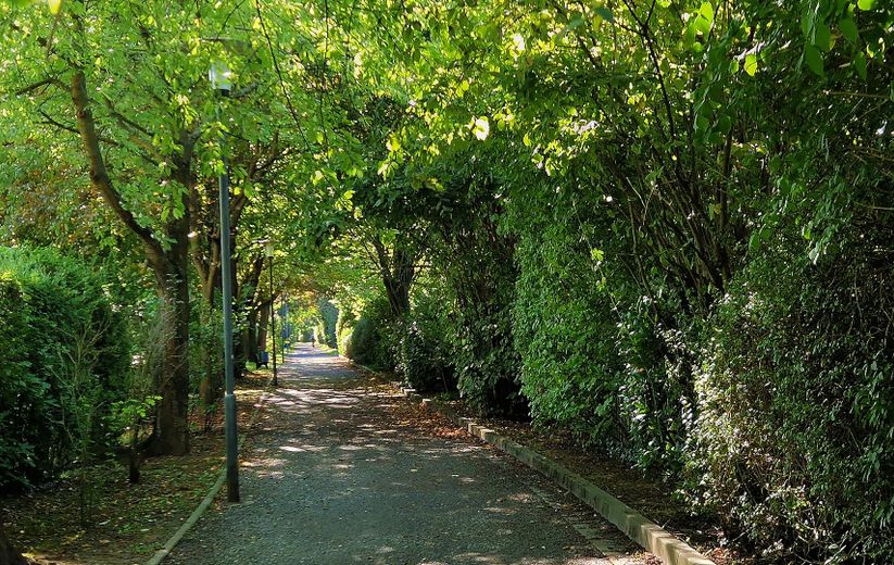 Öffentlicher Park an Wohnung