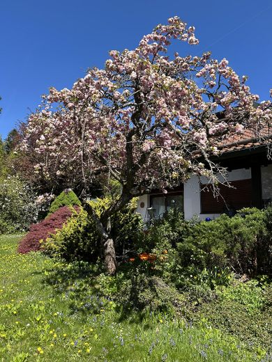 Top Grundstück mit Altbestand in Bestlage – Foto 2