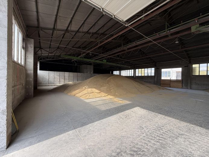 Großzügige Gewerbefläche mit Lagerhallenbestand und Büro in Neustadt a. d. Orla – Lagerhalle innen