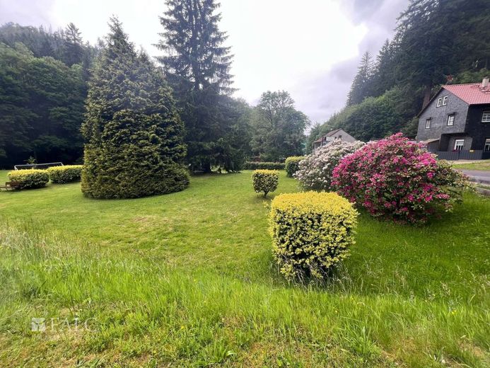 Traditionsreiches Hotelanwesen im Herzen des Thüringer Waldes - modernisiert und vielseitig nutzbar – Garten