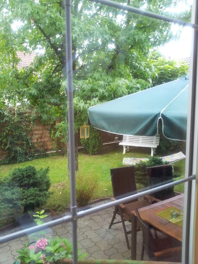 Blick in den Garten