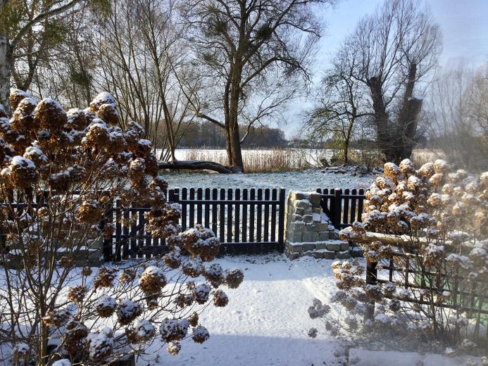 Seeblick im Winter