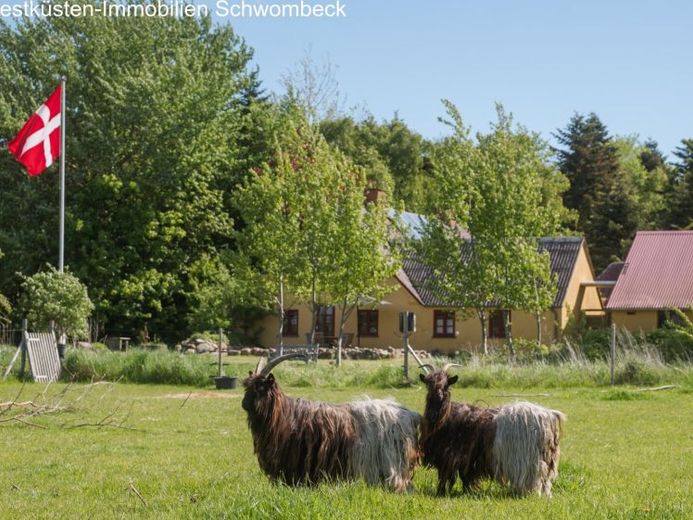 Splendida ex fattoria sull’isola di Ærø in Danimarca! – Foto 1