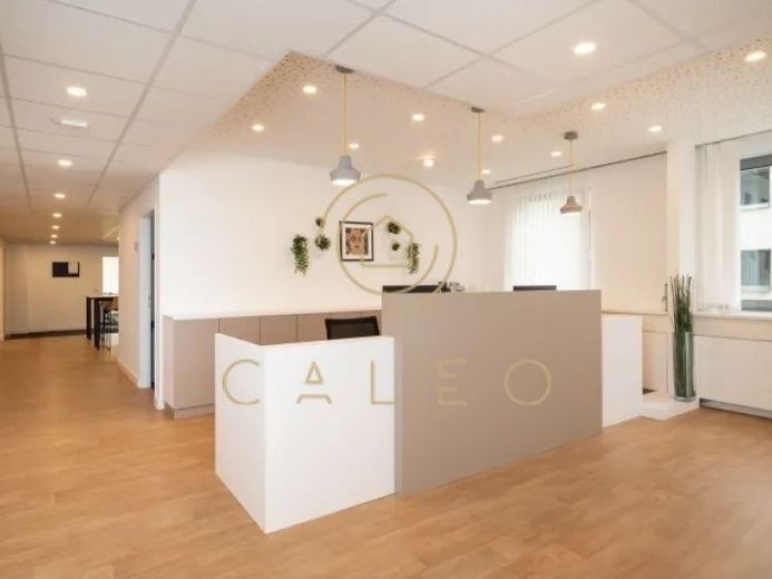 CALEO ¦ Bezirk 6 ¦ Mariahilfer Str ¦ flexibel + sofort bezugsfertig ¦ all inclusive ¦ PROVISIONSFREI – Foto 1