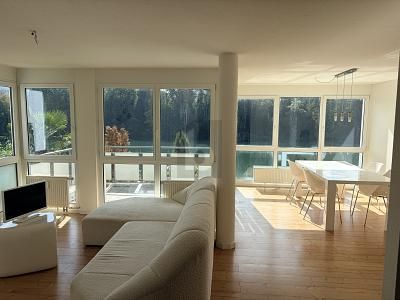 WOW – DIREKT AM RHEIN, WAS FÜR EIN PANORAMA! – 1790940943_5a082d.jpg