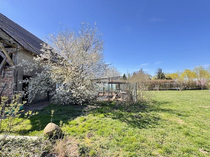 HORN IMMOBILIEN ++ Einfamilienhaus mit großem Grundstück in Ramin an der polnischen Grenze. – Garten