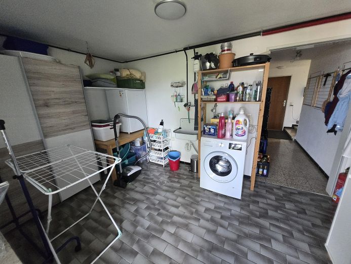 Einfamilienhaus in traumhafter Lage mit Panoramablick auf Bodensee und Schweizer Berglandschaft – Waschraum beheizbar