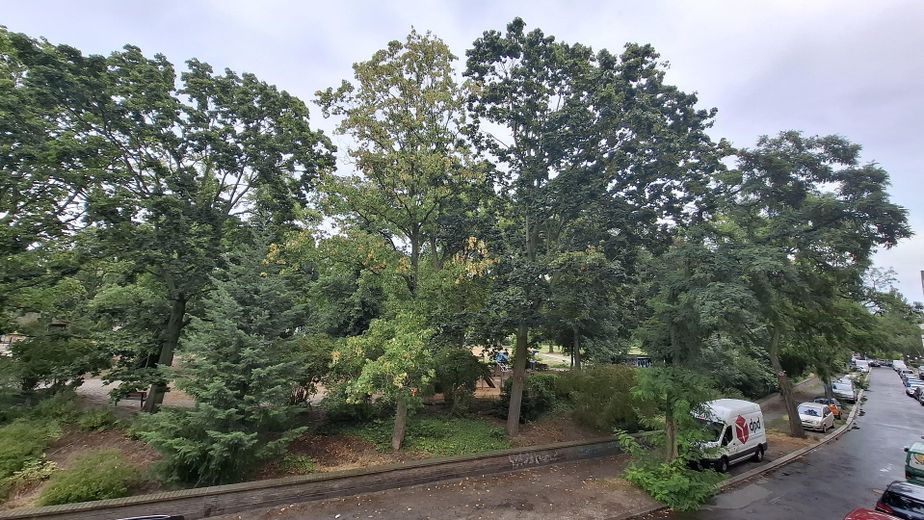 Bezugsfreie ETW, 2 Zimmer, 60qm, provisionsfrei, direkt v. Eigentümer – Blick vom Balkon in den Park