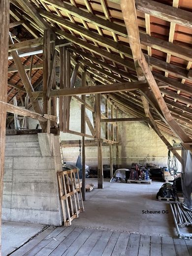 Lobbach, MFH + Nebengebäude – Foto 7