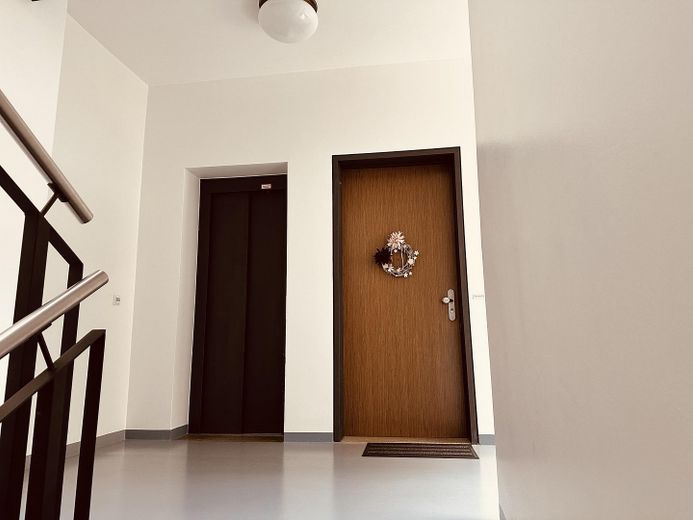गोलीस-दक्षिण में विशिष्ट लॉफ्ट अपार्टमेंट – Treppenhaus