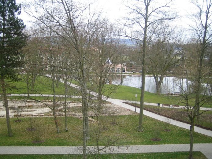 HEF-Kurpark, 2 ZKB al piano mansardato + balcone – Foto 11