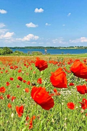 Naturparadies Dassow