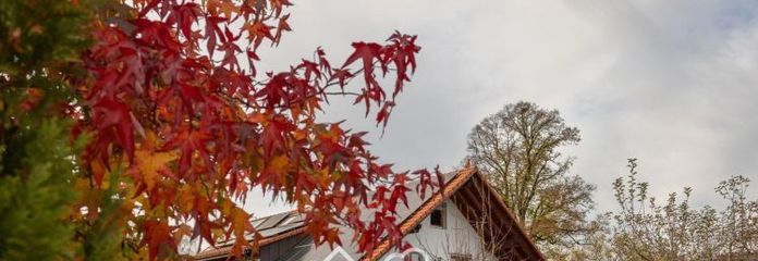 Ruhige 3-Zimmer-Wohnung mit EBK und Balkon in Harpolingen/Bad Säckingen