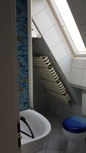 1 ZKB + Balkon in Zwickau-Auerbach, Dachgeschoss-Wohnung mit EBK – Bad