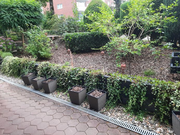 2,5 locali, vicino al bosco e alla Ruhr, terrazza di 14 m², bagno: vasca + doccia separata, pavimenti in parquet di legno massello – Terrasse davor Vorgarten