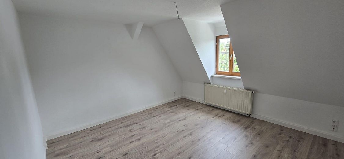 Top gerenoveerd 2-kamer zolderappartement op een locatie dicht bij het centrum – Wohnzimmer