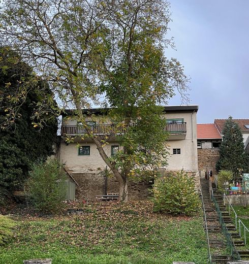 Saniertes 4,5-Zimmer-Reiheneckhaus in ruhiger Hinterhauslage in der Altstadt – Hausansicht Garten