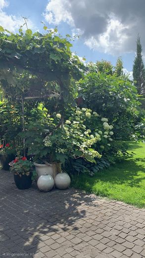 Blick aus WZ in Garten