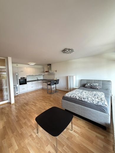 Charmant appartement meublé d’une pièce avec loggia – Wohnzimmer