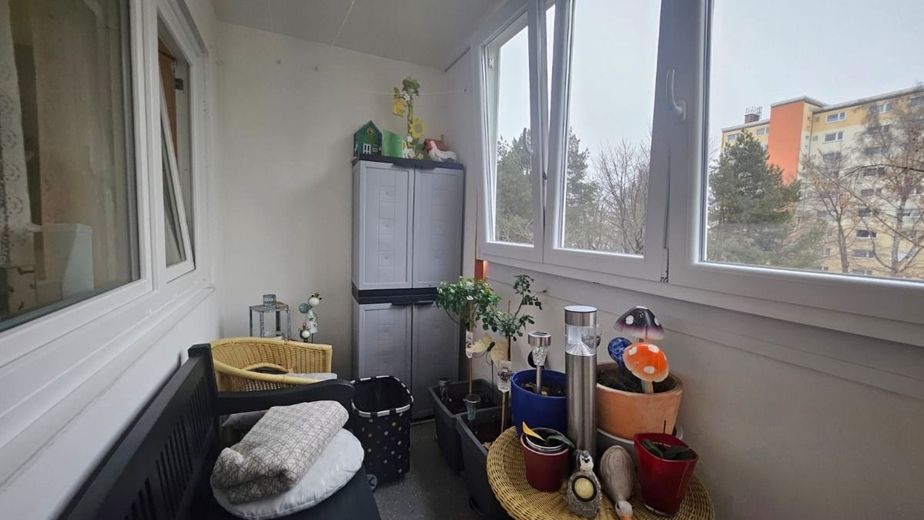 Charmante Etagenwohnung mit Süd-Balkon und TG-Stellplatz - München Hasenbergl – PHOTO-2026-02-19-13-52-24 2