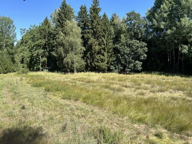 Paraíso rural/ bosque-pradera-agua – Wiese