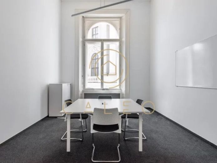 CALEO ¦ Bezirk 1 ¦ Herrengasse ¦ flexibel + sofort bezugsfertig ¦ All-in-Miete ¦ PROVISIONSFREI – Foto 1