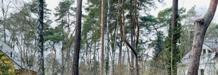IMMOBERLIN.DE - Naturschönes Baugrundstück in idyllischer Lage im Berliner Speckgürtel