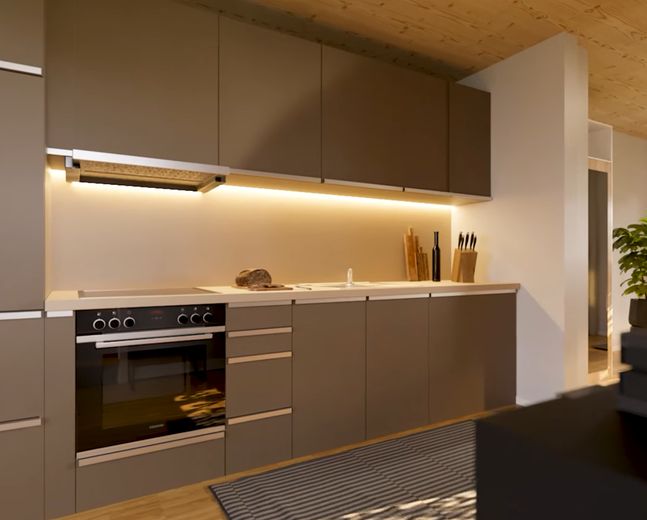 Einbauküche (Projektbild) 