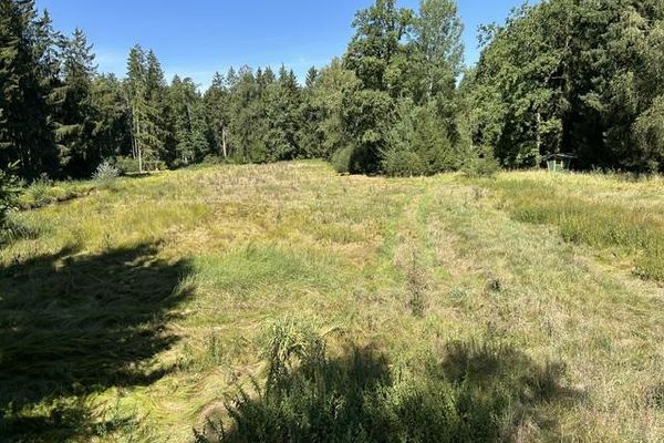 Paraíso rural/ bosque-pradera-agua