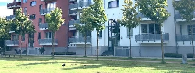 exquisite 4-room apartment in the university district