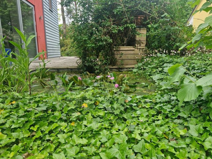 Zwischen Wasser und Wald - ein nachhaltiges Zuhause mit Seele – schöne Bepflanzung