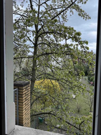 Martinsviertel, Südbalkon, 3 ZKB mit EBK - ruhig, attraktiv mit Charme – von Privat – Blick aus Küche