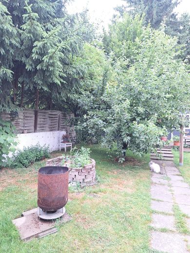 Reihenhaus Schönwalde am Bungsberg – Garten 8 m breit