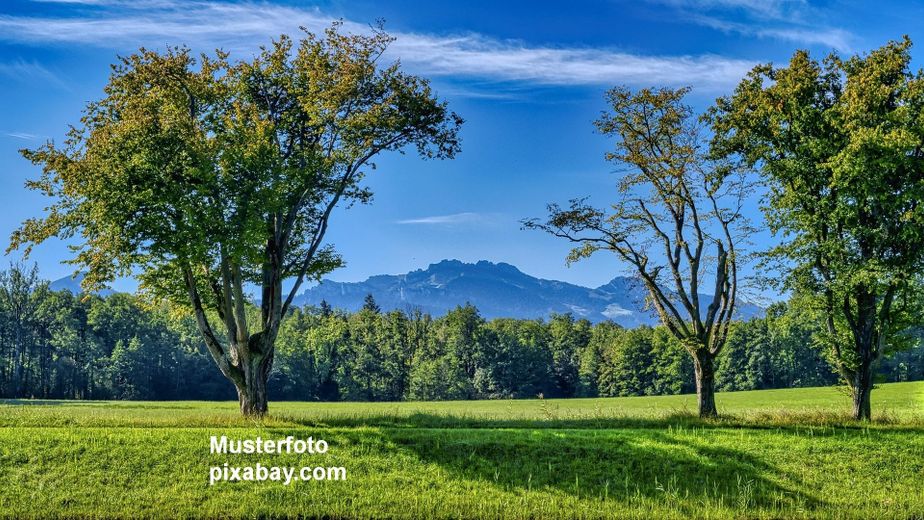 * SECRET SALE * - Ihr idyllisches Refugium - in traumhafter Wohnlage – Foto 1