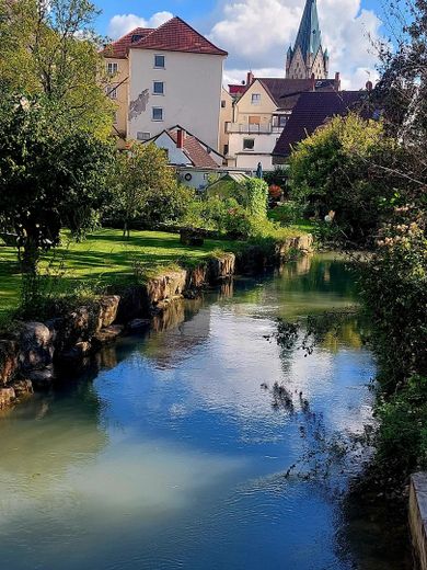 Waldrand Bungalow zu den Fischteichen incl. Strom – Warme Pader