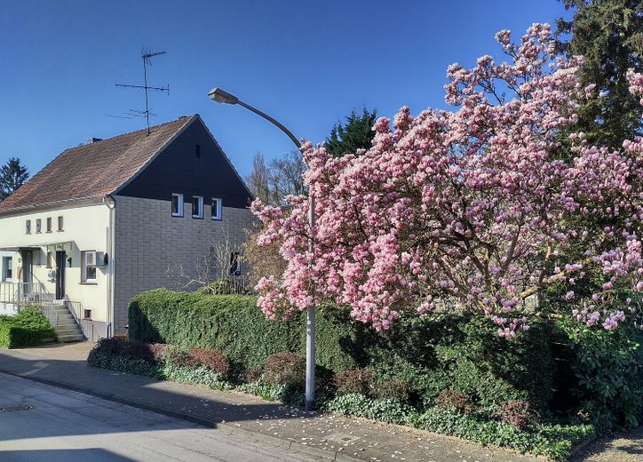 Straßenfront